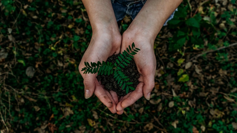 Como los detergentes sin fosfatos protegen los rios y ecosistemas acuaticos