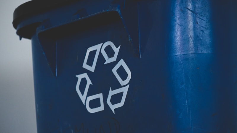 Productos de aseo sostenibles: la guia para un hogar limpio y ecologico