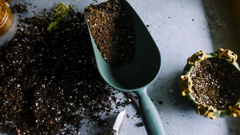 Tendencias en productos de aseo 2026: concentrados, recarga, formulas sin agua y packaging biodegradable